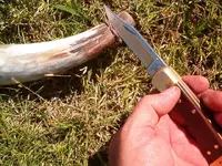 blowing horn 007.webp