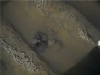 DSCN0374.webp