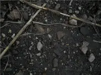 DSCN0378.webp