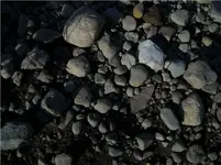 DSCN0377.webp