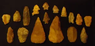 DSCN0382.webp