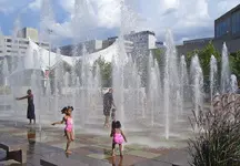 f4.webp