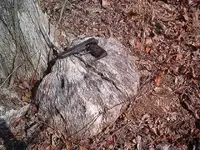 mt pics 009.webp