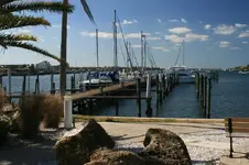 View from the tiki bar.webp View from the tiki bar.webp