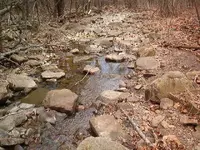 mt pics 006.webp