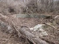 foundation silo2.webp