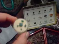 cut emeralds.webp