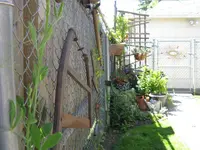 IMG_0158.webp