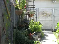 IMG_0160.webp