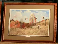 IMG_1545 Babe  rew.webp