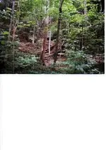 Arrow pointing to rockhouse.webp