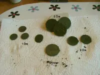 DSCF2748.webp