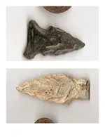 shale & slate points.webp