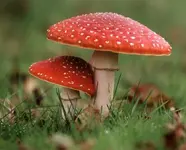 Philosophy is in the eye of the beholder.webp