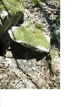 Dead Fall, think before you act.webp