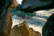 indexCAVSDUD3.webp