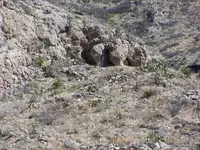 Buffalo.webp