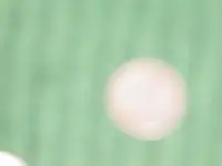 MVC-003S.webp