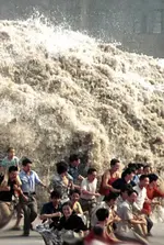 tsunami_wave_coming_now_too_late.webp