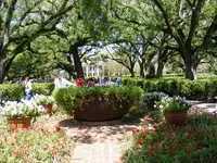 Copy of DSCF0019.webp