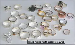 ring (2).webp