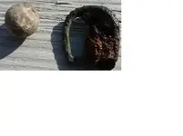 musketball.webp
