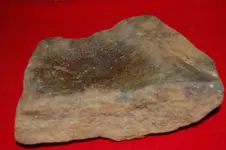 Grinding Stone.webp