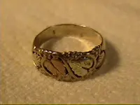 Feb21-2009ring.webp