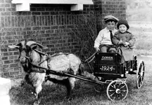goatcart.webp