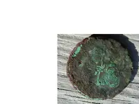 coin2.webp