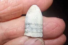 Big Bullet.webp