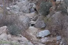 100_1317.webp