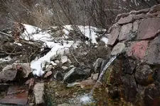 spring.webp
