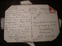 sugar 016.webp