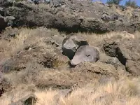 cave ledge.webp