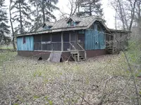lomax 016.webp