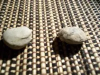100_0092.webp