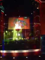 vacation cancun 141.webp