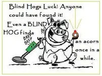 anotherblindhog.webp