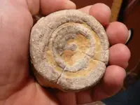 artifacts-005.webp