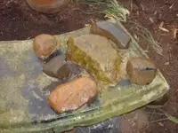 nutting stone and others.webp