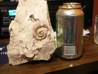 artifacts-011.webp