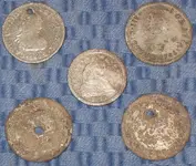 5 crusty silvers.webp