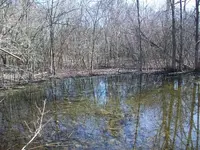 park.webp