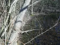 park2.webp