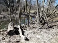 fertile grounds across river.webp