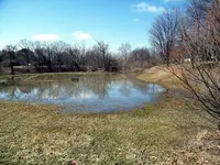lake lola 2.webp