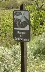 rattle snake warning.webp