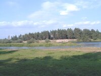 Narev river_view.JPG