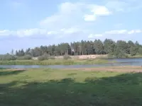 Narev river_view.webp